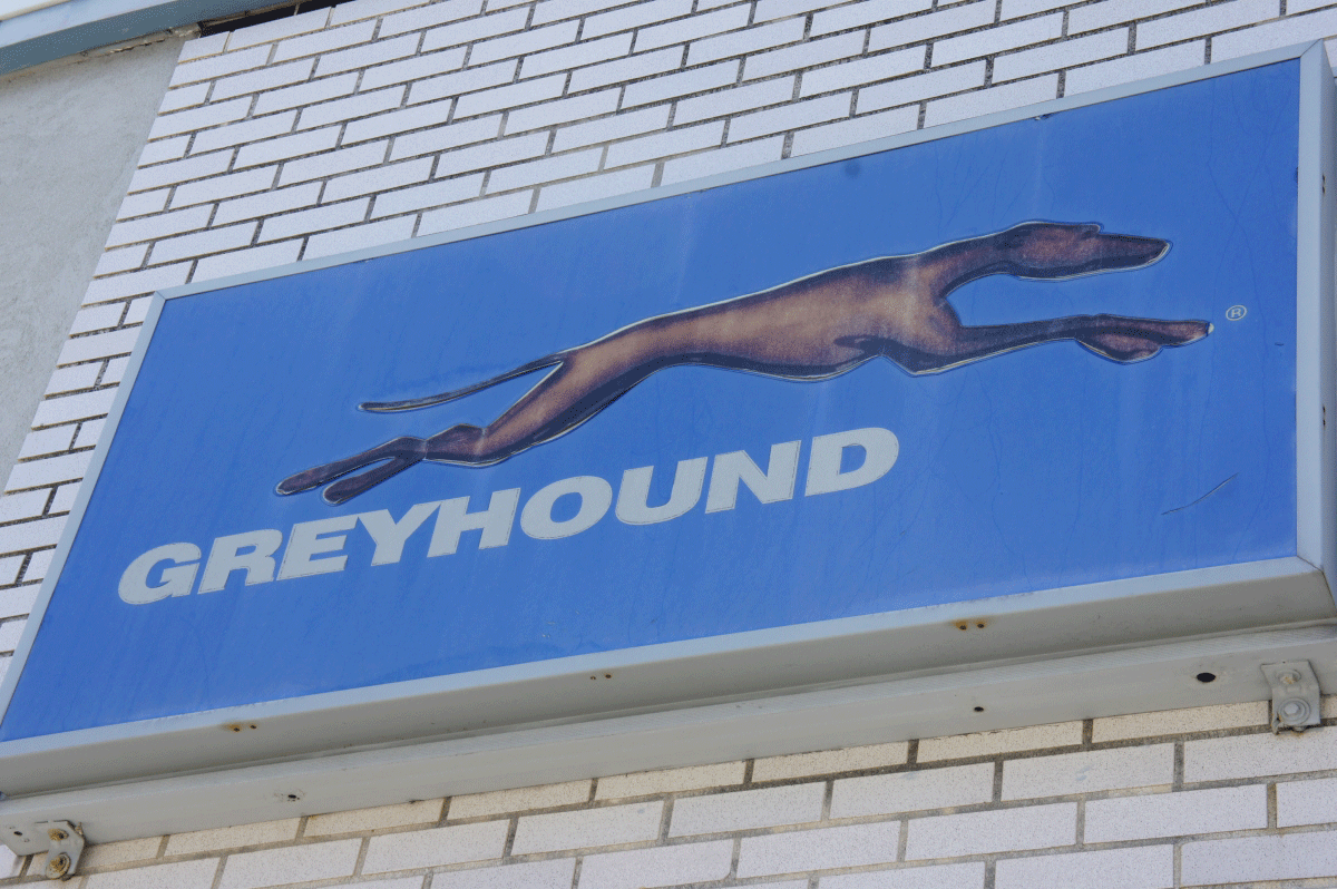 cheapest greyhound bus tickets